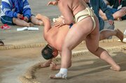 img_6a4090605b8c0d56c3e01b5dff220ed6395028.jpg