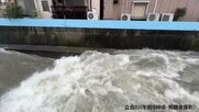 【台風6号】立会川は濁流に「こんなに水位が上がっているのは初めて」　東京・品川区にレベル4大雨危険警報発表