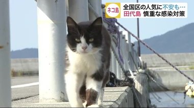 国内外で人気の「ネコの島」 島民8割が高齢者…観光再開で募る不安【宮城発】