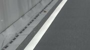 バイクを運転していたとみられる男が出頭　後部座席から転落した女性が後続車にひかれ死亡　東京・勝どき