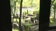 両親と家族湯に入浴中に5歳男児が行方不明　湯船と同じくらいの高さにある窓が開いていたか　施設に面した川を中心に捜索続く　鹿児島・霧島市