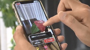 ARが演出する買い物体験 ネットショッピング新時代