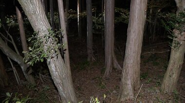 「息子の首を絞めて殺した」　富士山麓の青木ヶ原樹海　89歳の女を逮捕　息子は重度の知…