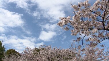 満開の桜に「花散らし」の試練　週末は全国的に「春の嵐」少し残念な花見に？　警報クラ…